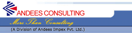 Andees Consulting 